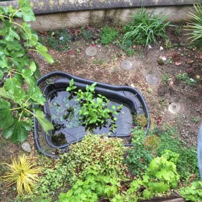 Comment fabriquer ses pas japonais en béton (le tuto complet, étape par étape)